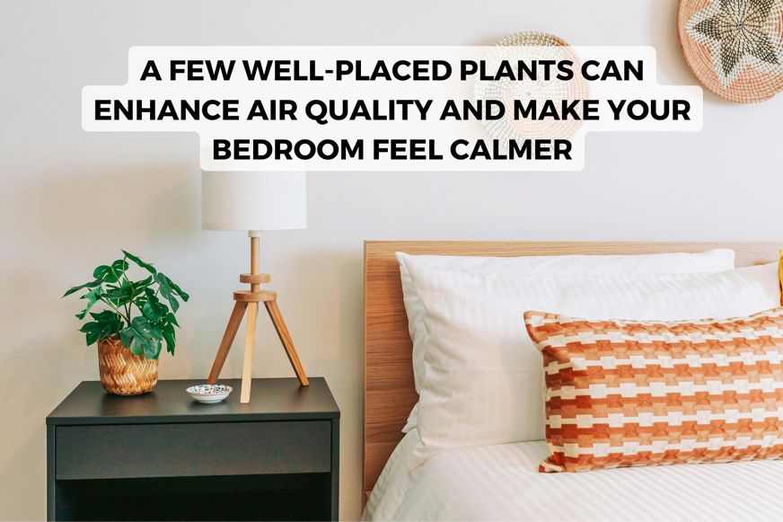 well-placed plant in bedroom